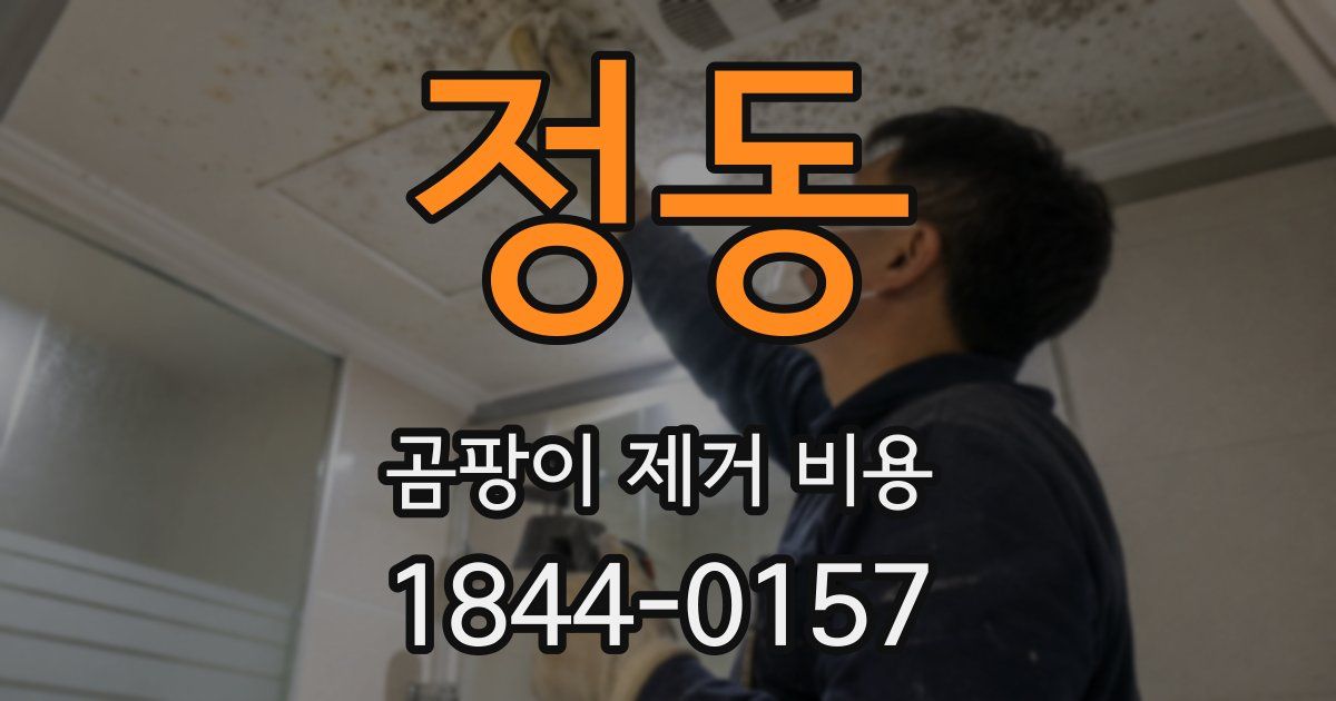 정동 곰팡이 제거 비용