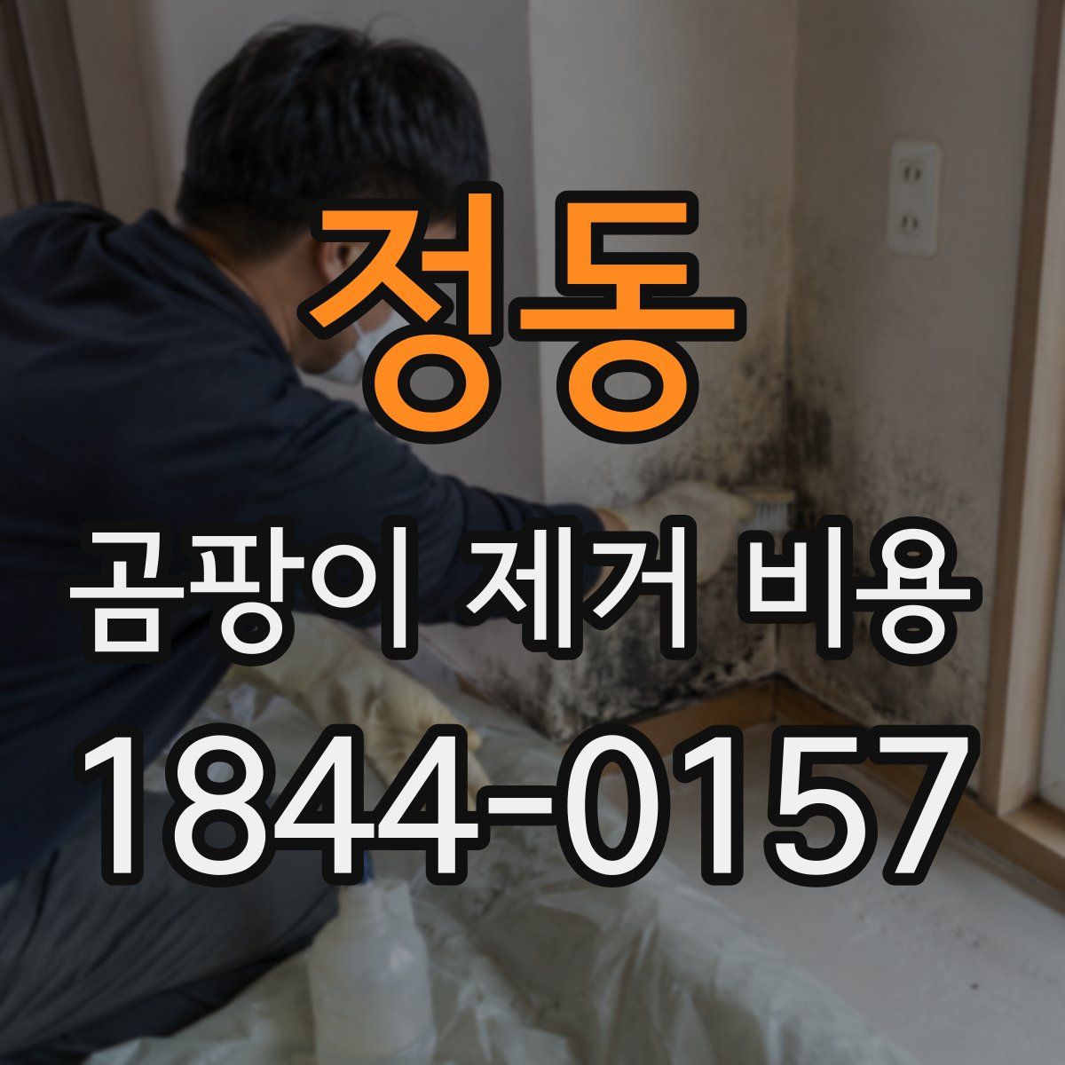 정동 곰팡이 제거 비용