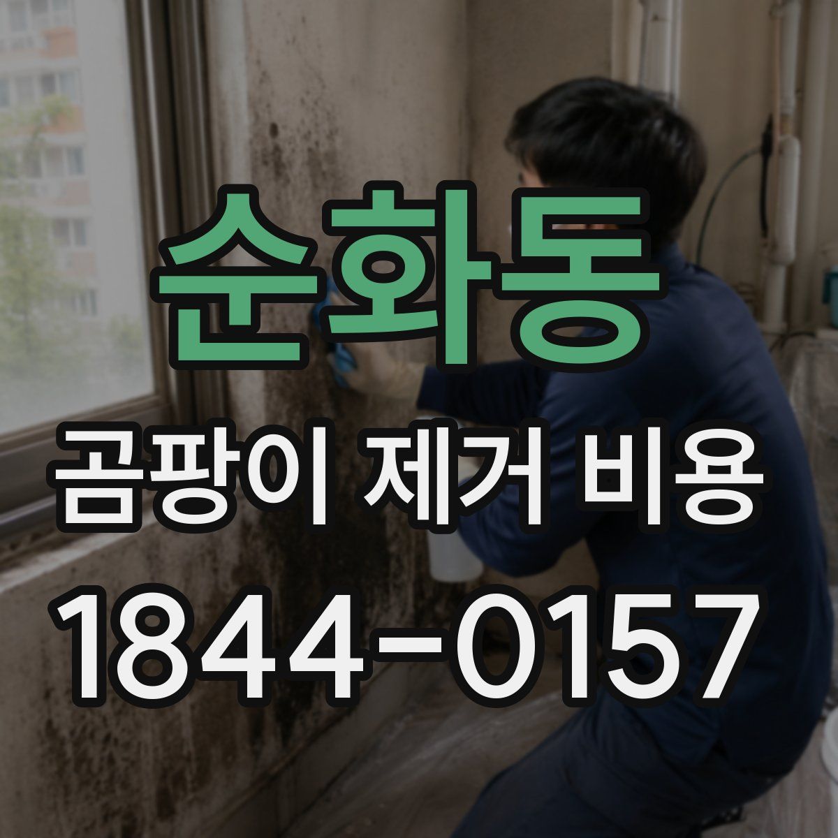 순화동 곰팡이 제거 비용