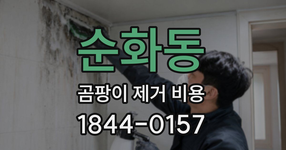 순화동 곰팡이 제거 비용