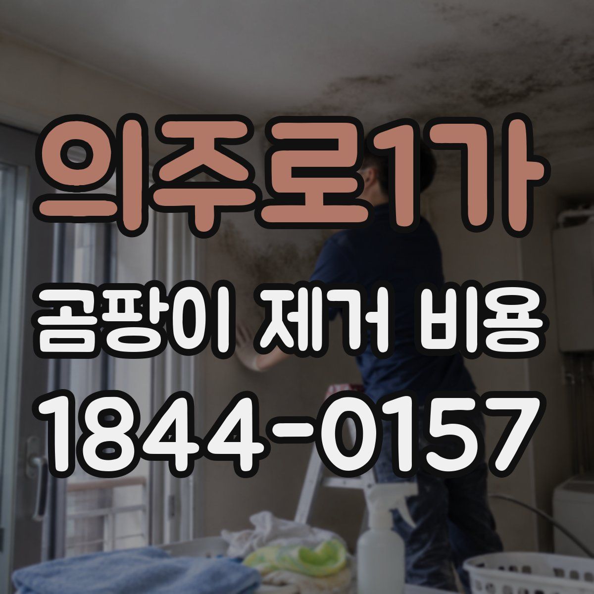 의주로1가 곰팡이 제거 비용
