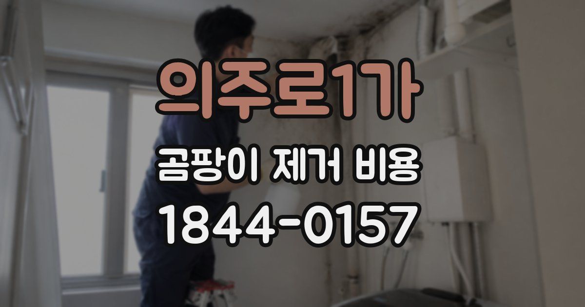 의주로1가 곰팡이 제거 비용