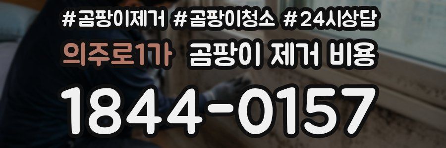 의주로1가 곰팡이 제거 비용