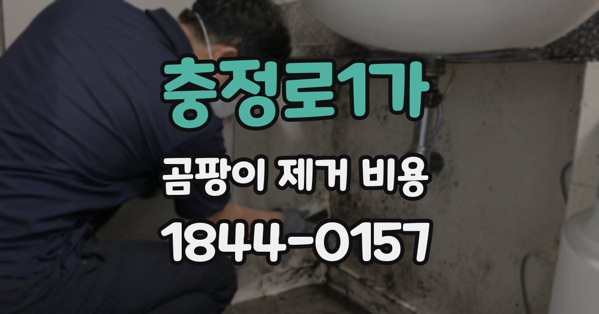 충정로1가 곰팡이 제거 비용