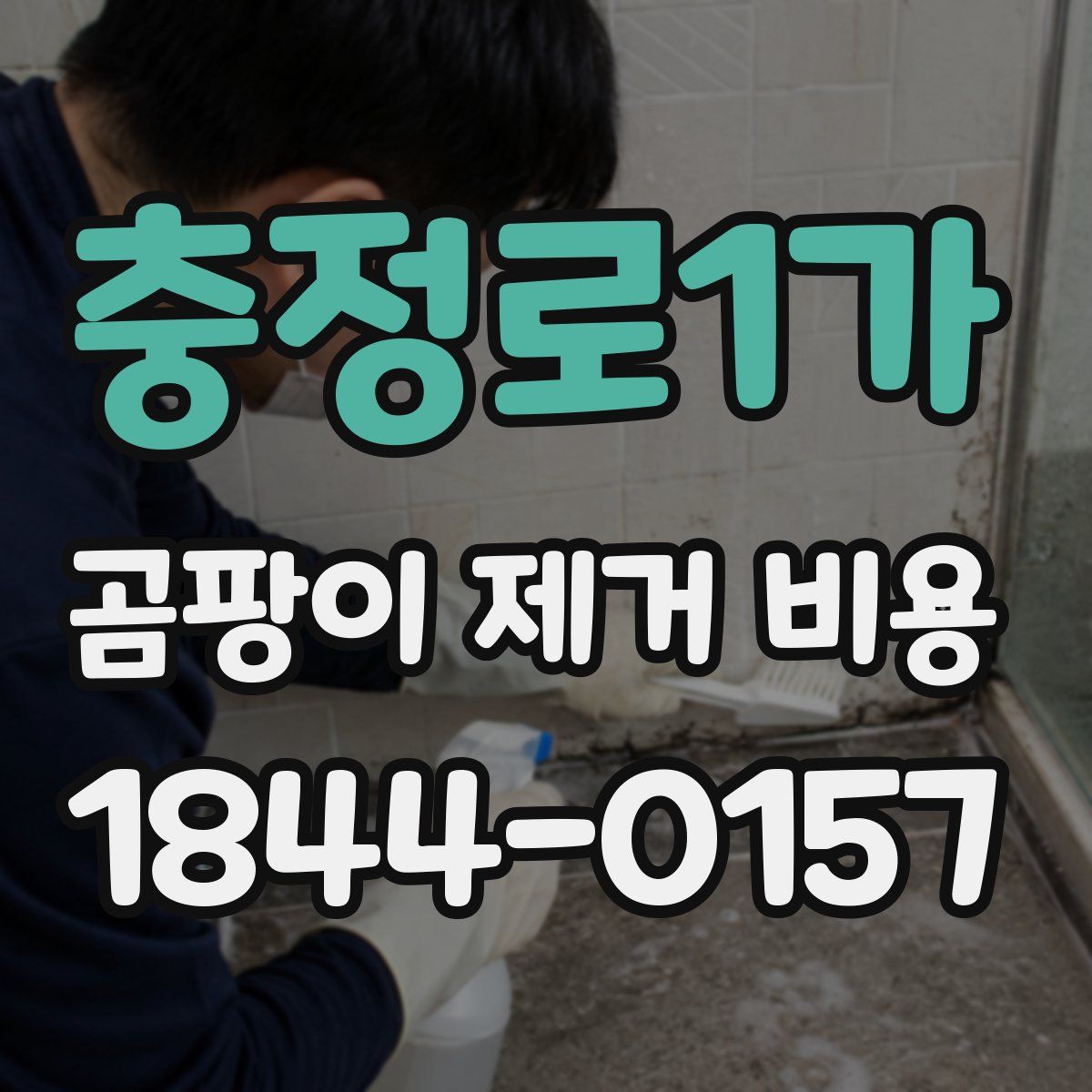 충정로1가 곰팡이 제거 비용