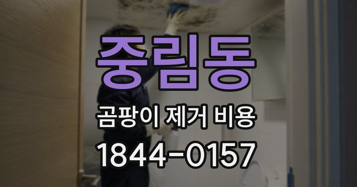 중림동 곰팡이 제거 비용