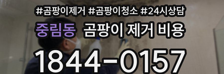 중림동 곰팡이 제거 비용