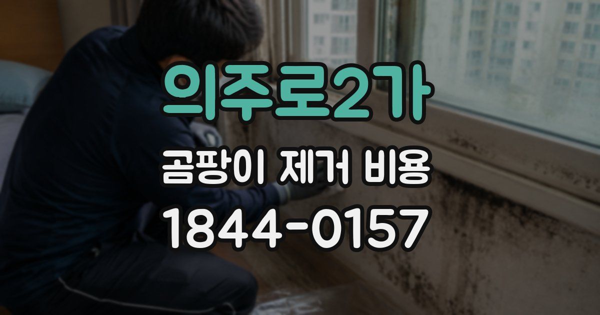 의주로2가 곰팡이 제거 비용