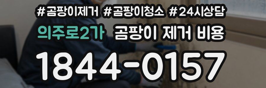 의주로2가 곰팡이 제거 비용