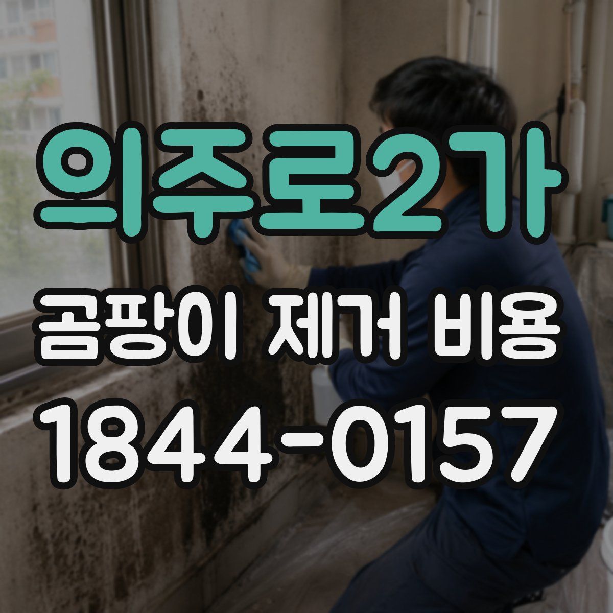 의주로2가 곰팡이 제거 비용