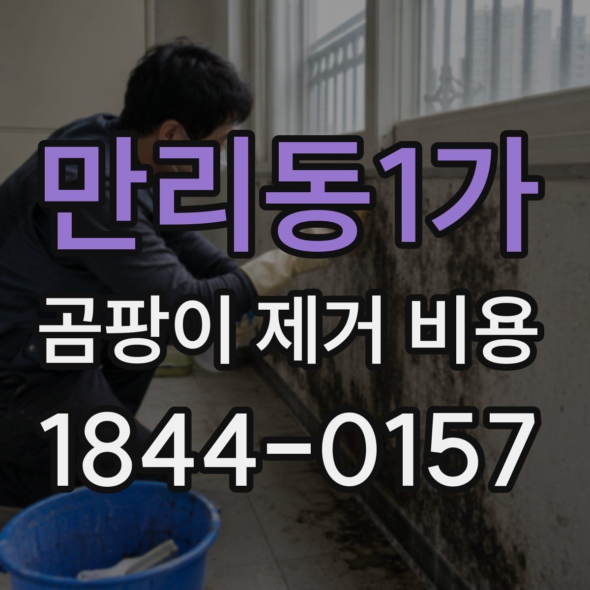 만리동1가 곰팡이 제거 비용 부분 시공으로 줄일 수 있는 오염 유형