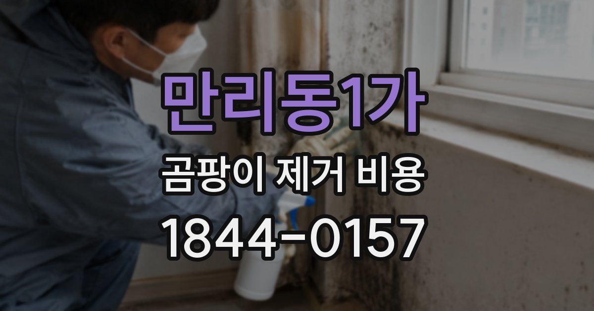 만리동1가 곰팡이 제거 비용