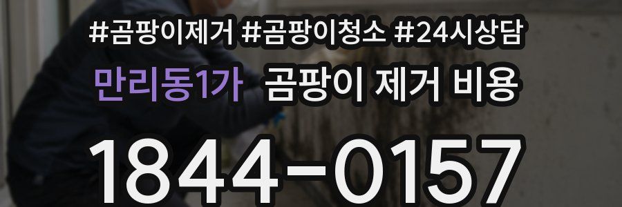 만리동1가 곰팡이 제거 비용