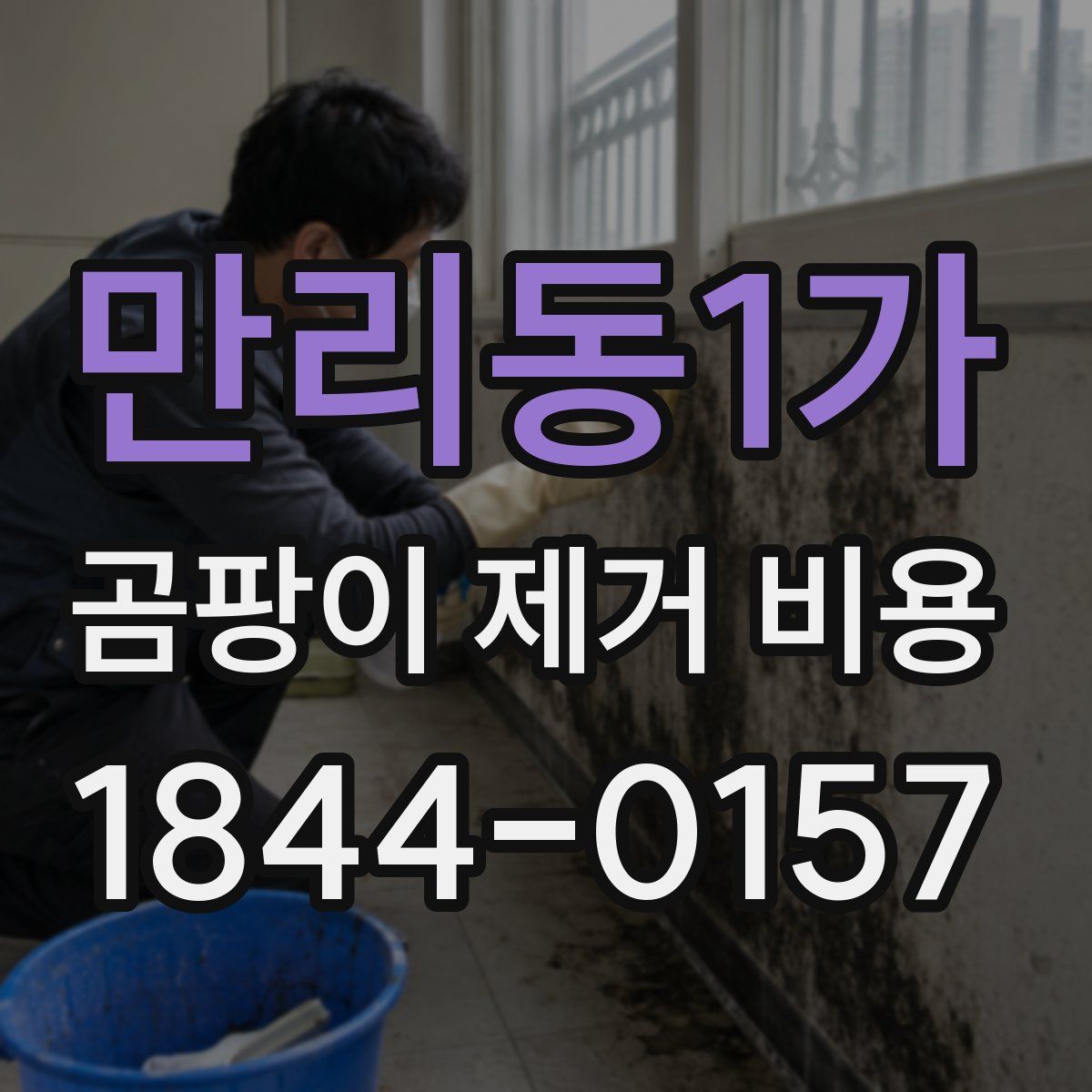 만리동1가 곰팡이 제거 비용