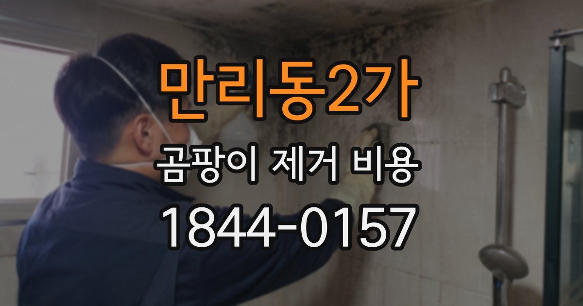 만리동2가 곰팡이 제거 비용