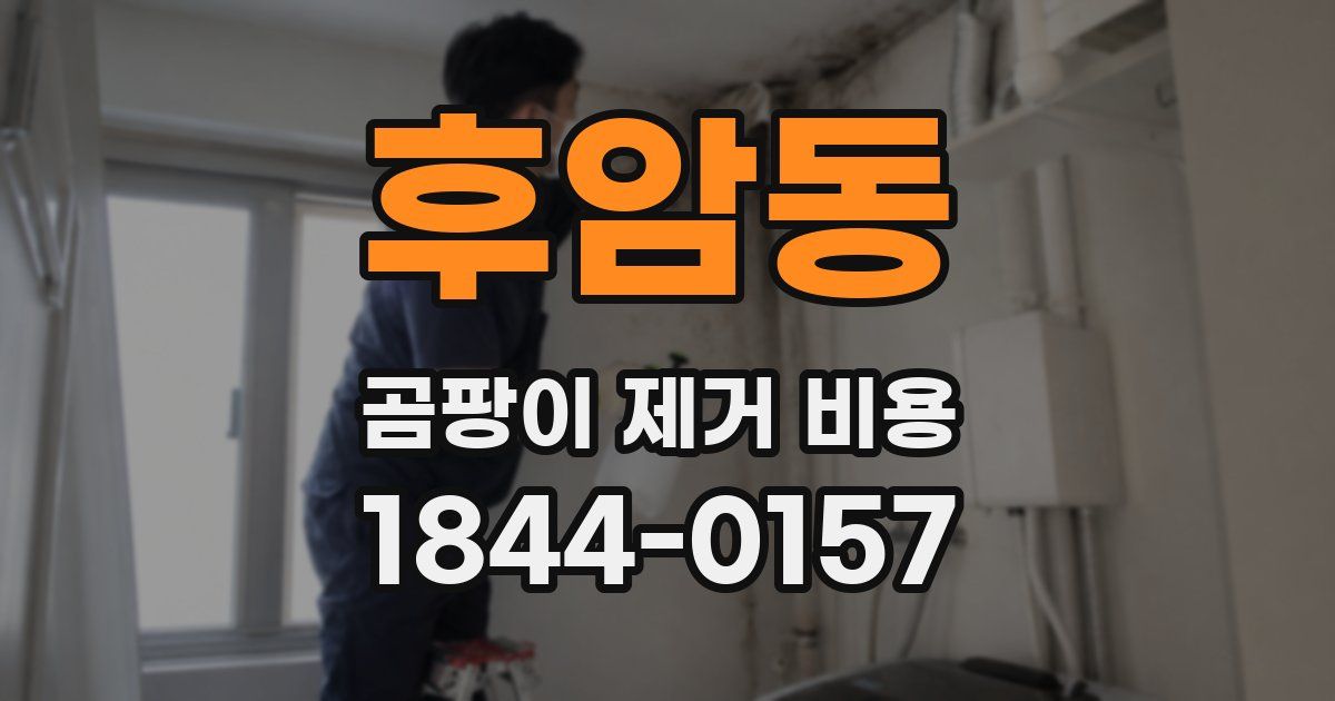 후암동 곰팡이 제거 비용