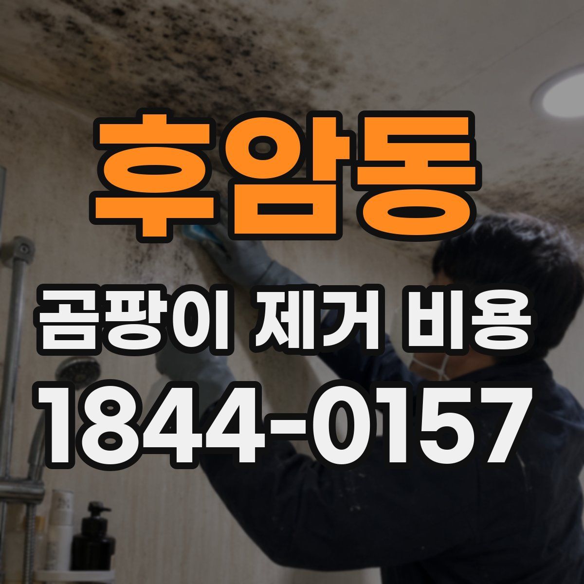 후암동 곰팡이 제거 비용