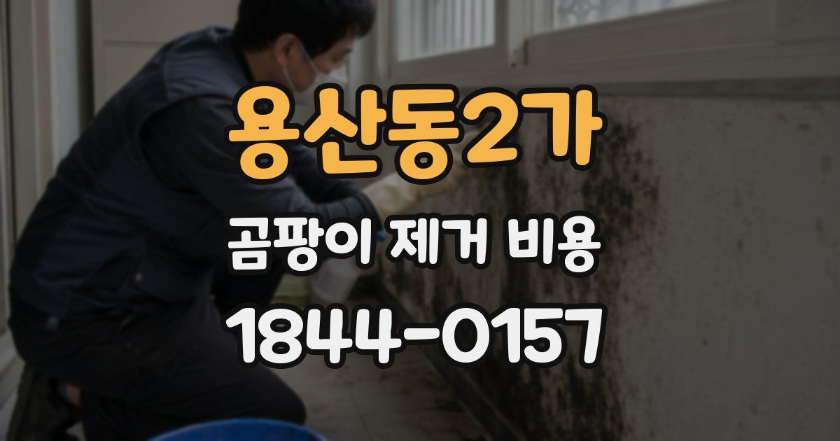 용산동2가 곰팡이 제거 비용