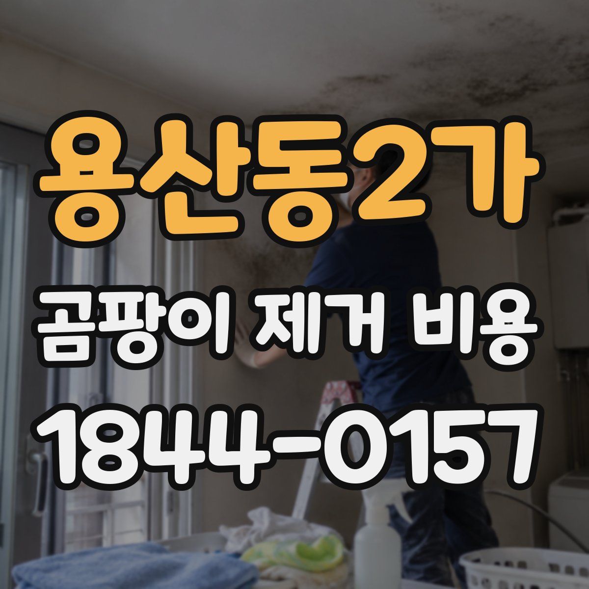 용산동2가 곰팡이 제거 비용