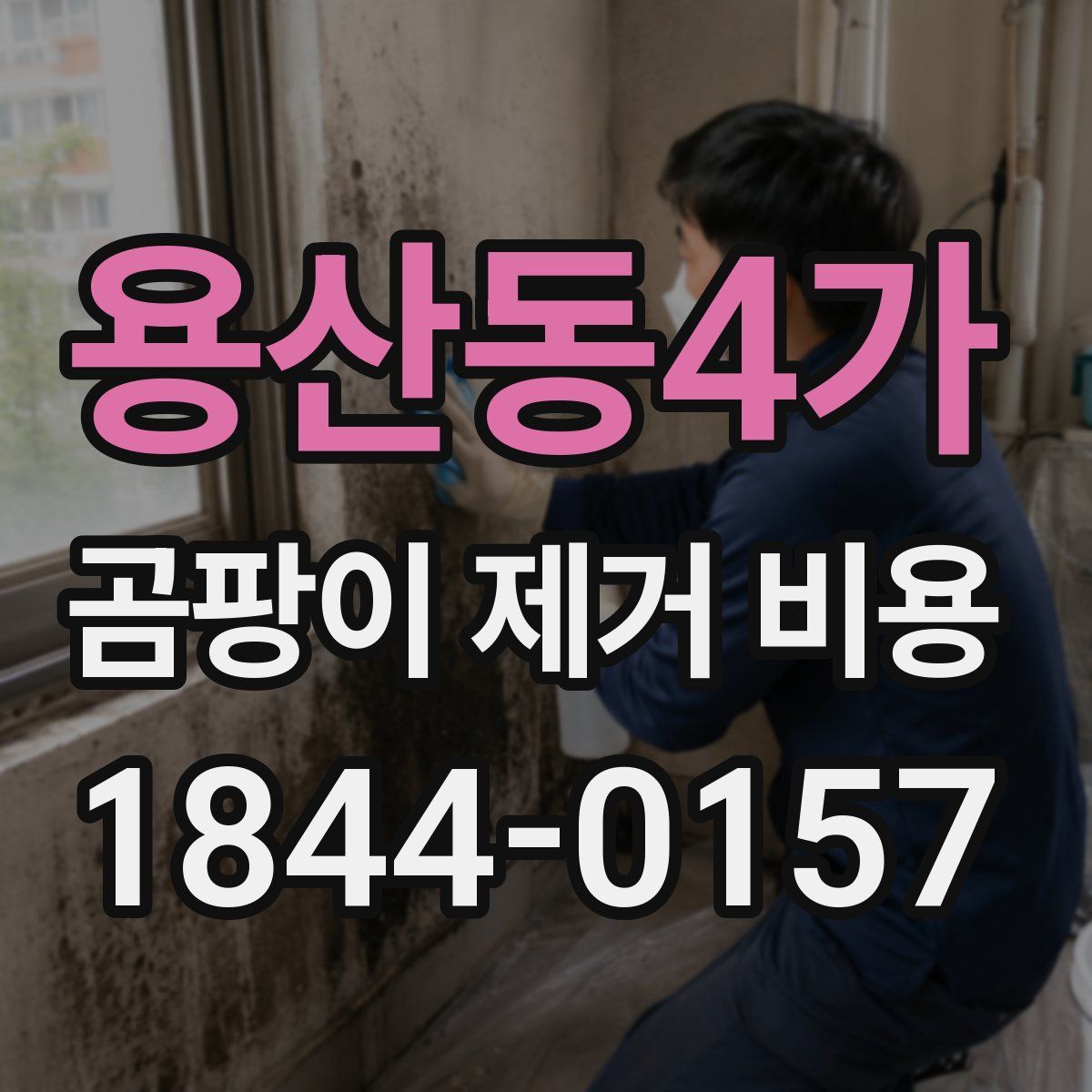 용산동4가 곰팡이 제거 비용