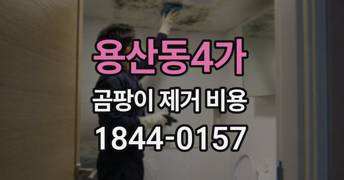 용산동4가 곰팡이 제거 비용