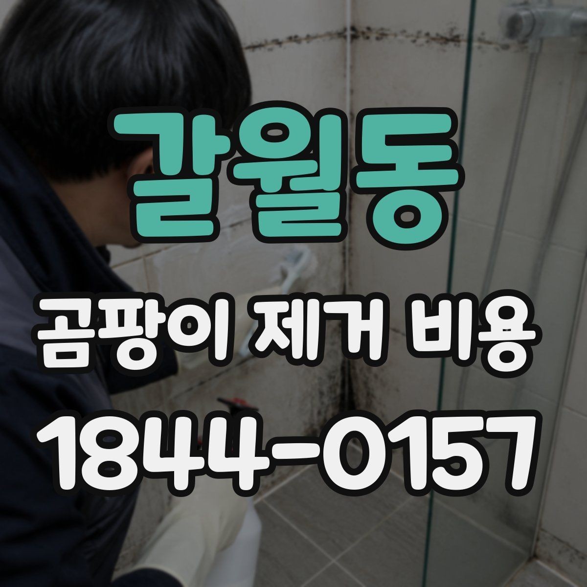 갈월동 곰팡이 제거 비용 복구 범위가 넓어질 때 달라지는 항목