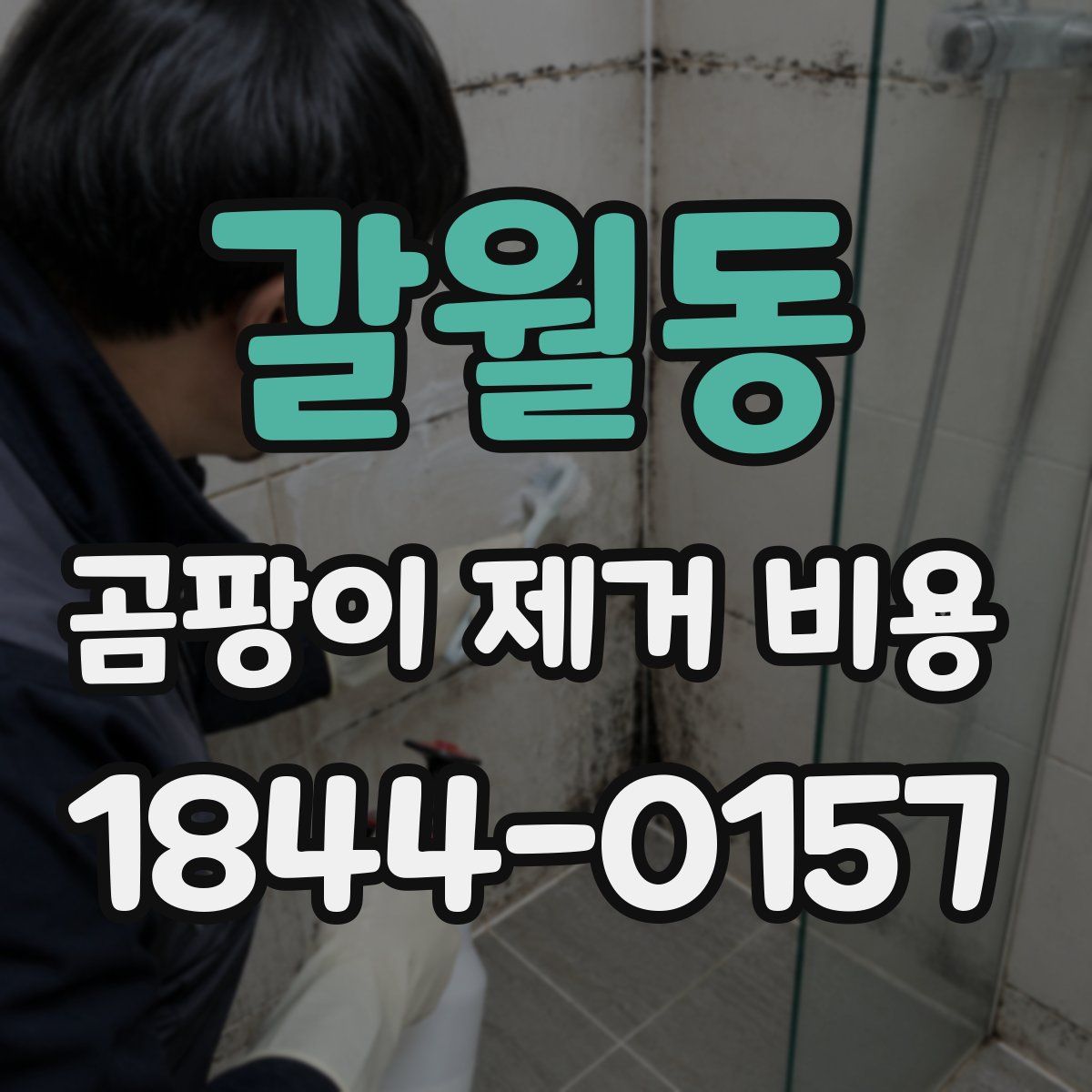갈월동 곰팡이 제거 비용