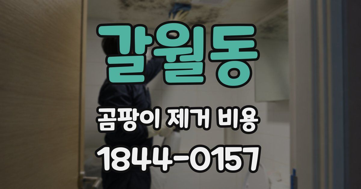 갈월동 곰팡이 제거 비용