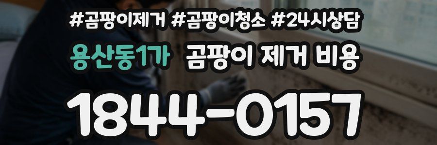 용산동1가 곰팡이 제거 비용