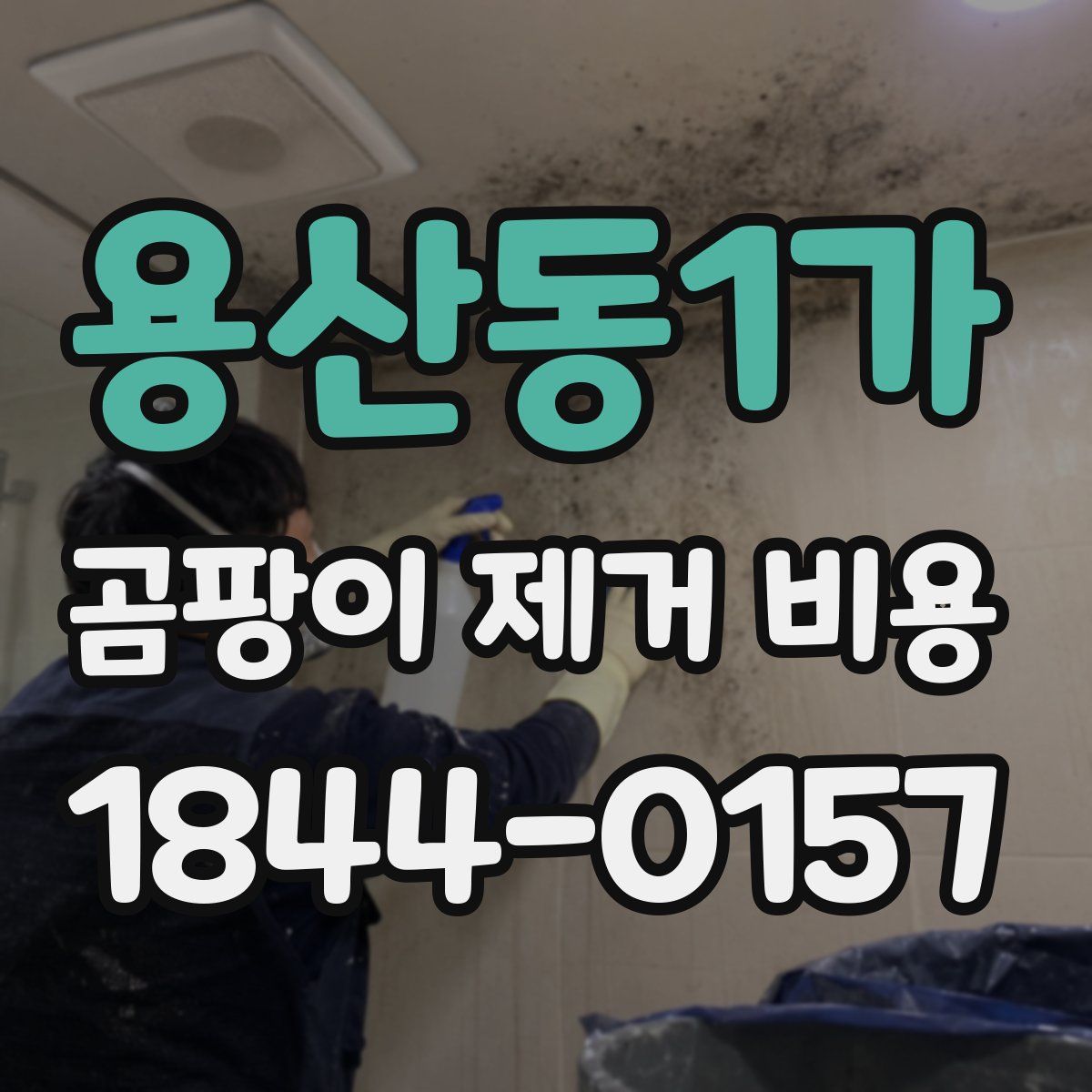 용산동1가 곰팡이 제거 비용