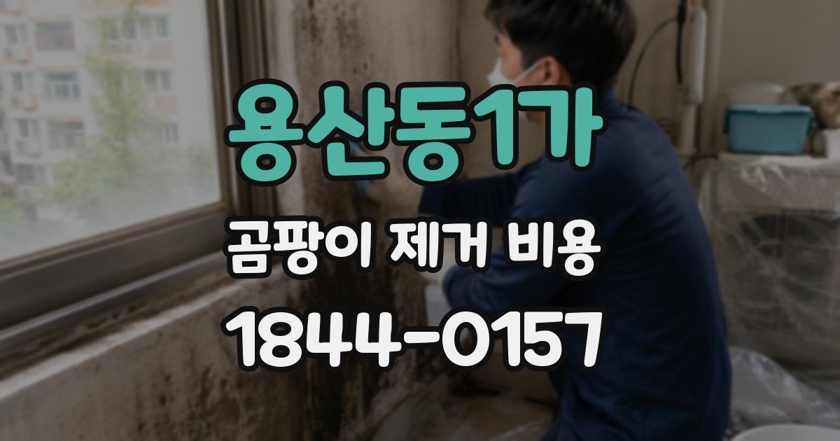 용산동1가 곰팡이 제거 비용