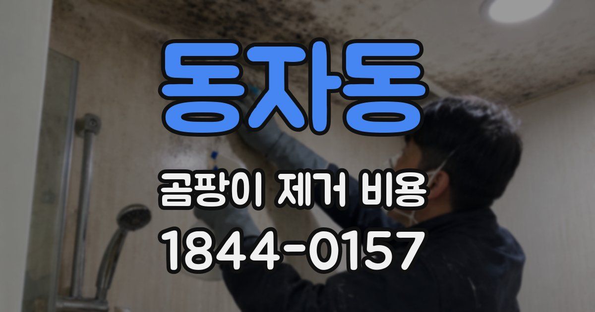 동자동 곰팡이 제거 비용