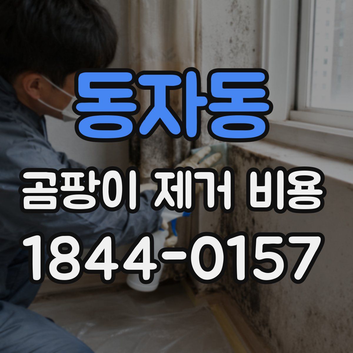 동자동 곰팡이 제거 비용