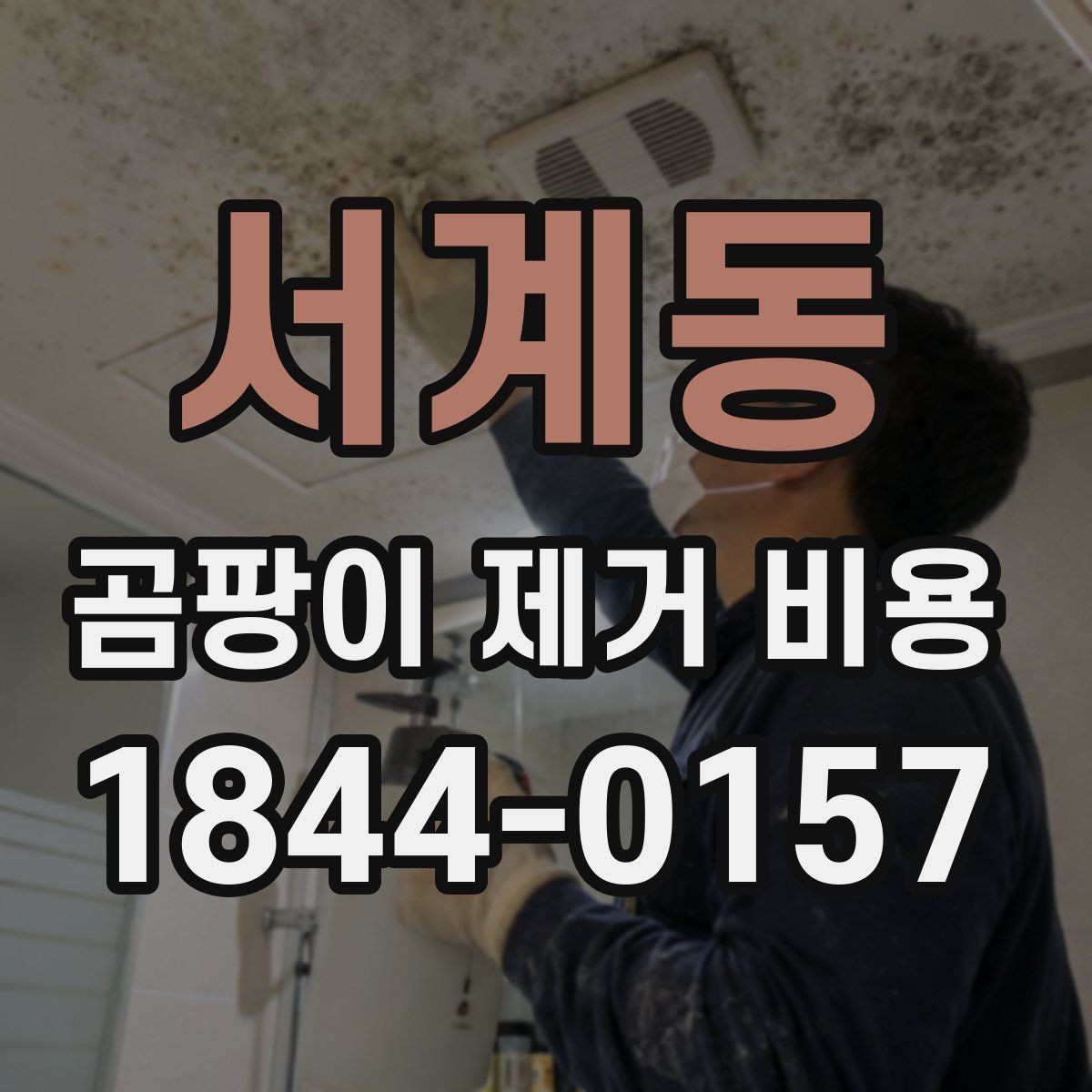 서계동 곰팡이 제거 비용 결로가 반복되는 집의 견적 포인트