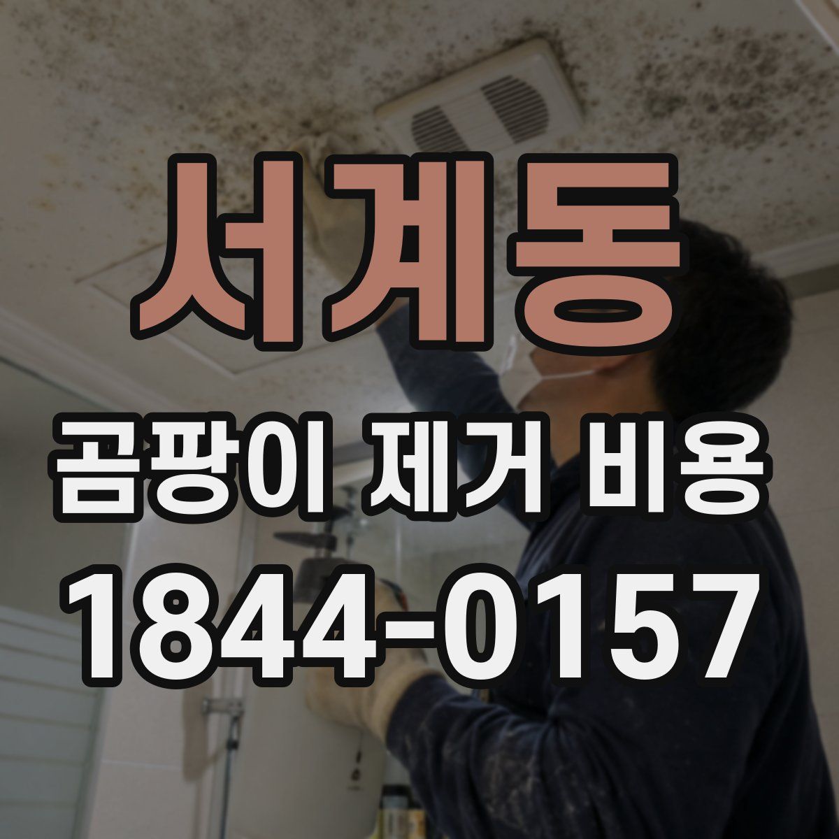 서계동 곰팡이 제거 비용