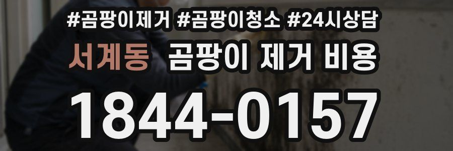 서계동 곰팡이 제거 비용