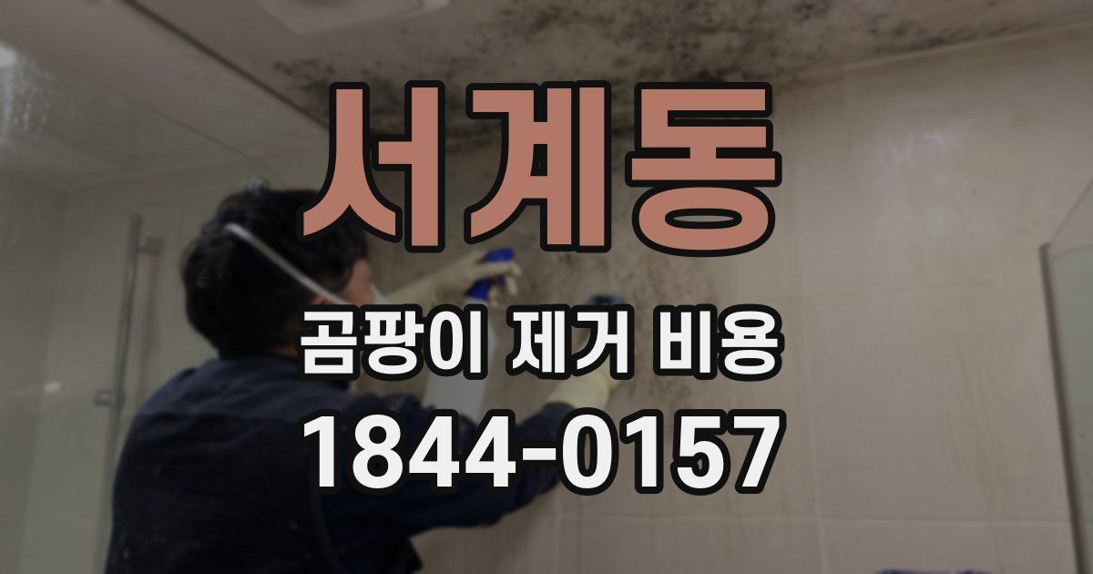 서계동 곰팡이 제거 비용