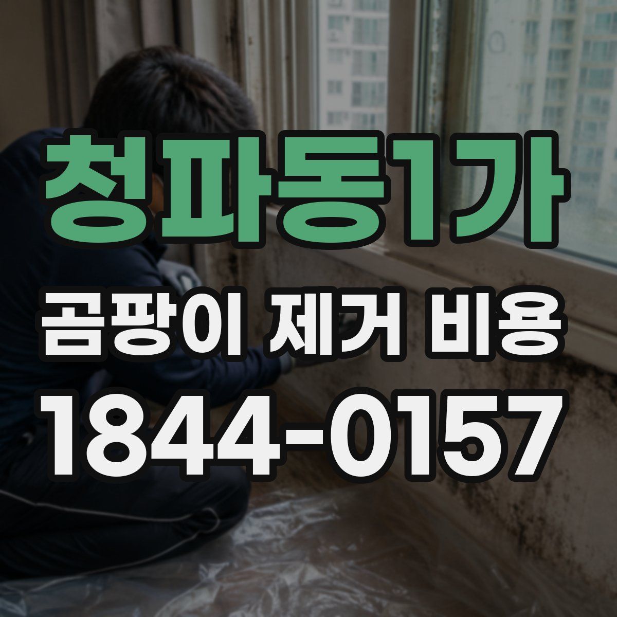 청파동1가 곰팡이 제거 비용