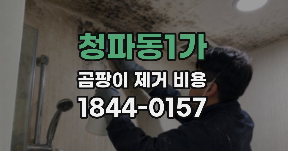 청파동1가 곰팡이 제거 비용
