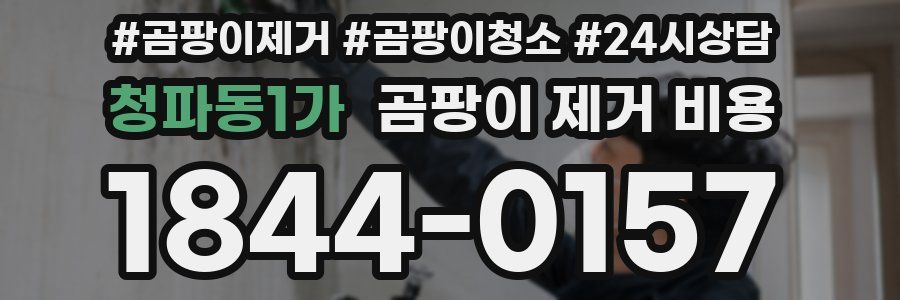 청파동1가 곰팡이 제거 비용