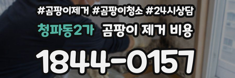 청파동2가 곰팡이 제거 비용