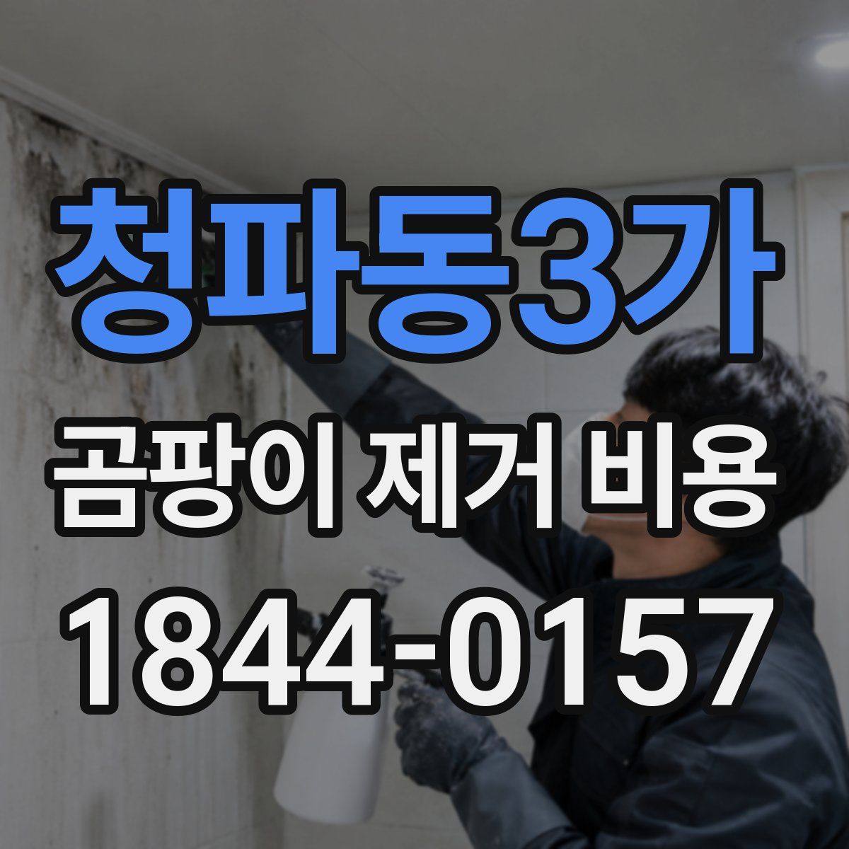 청파동3가 곰팡이 제거 비용