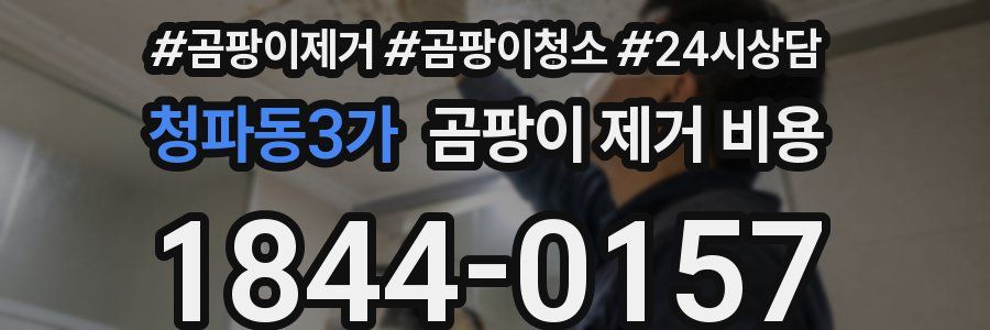 청파동3가 곰팡이 제거 비용