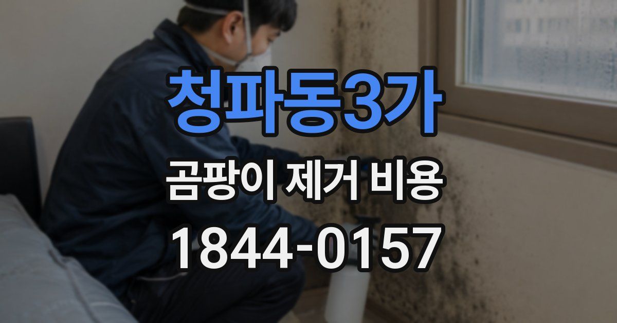 청파동3가 곰팡이 제거 비용
