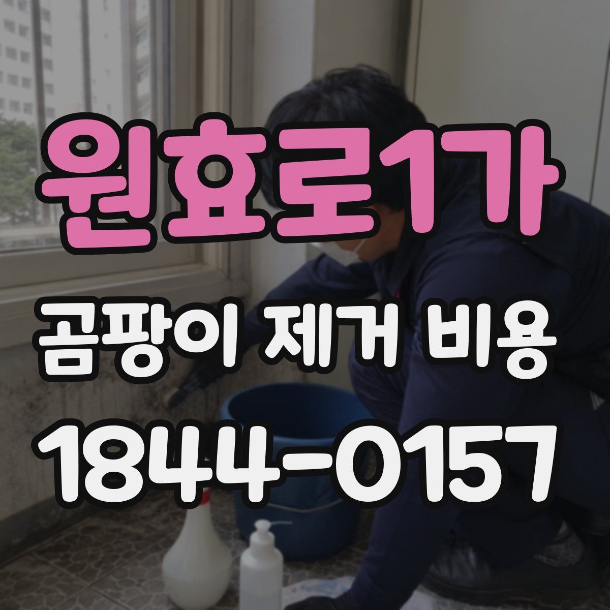 원효로1가 곰팡이 제거 비용
