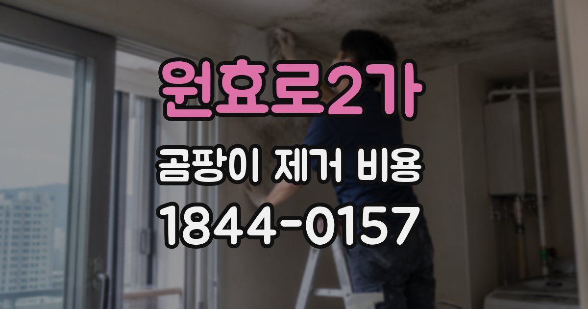 원효로2가 곰팡이 제거 비용