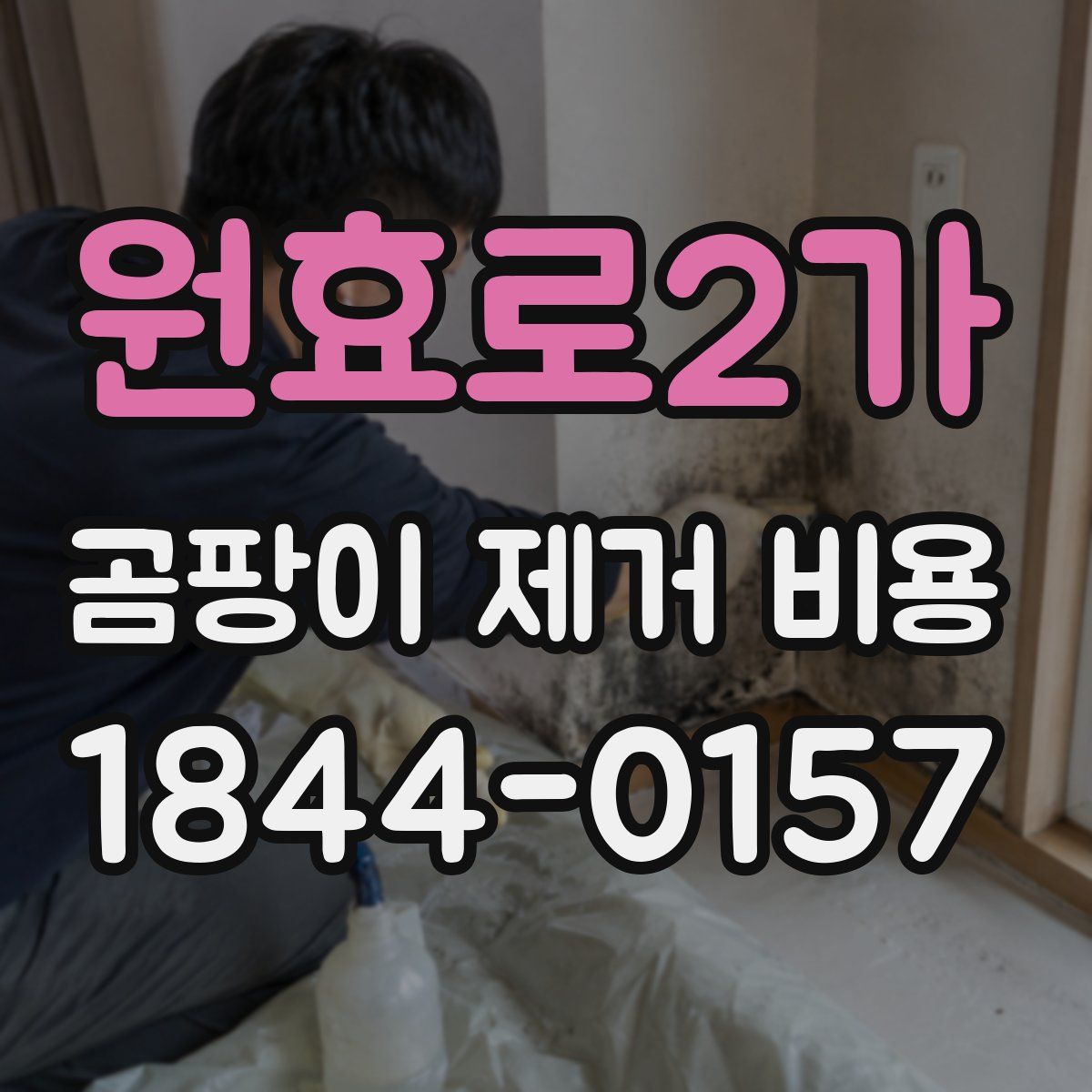 원효로2가 곰팡이 제거 비용