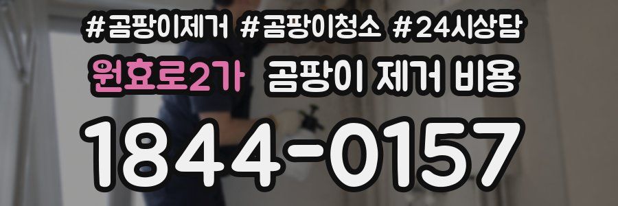 원효로2가 곰팡이 제거 비용