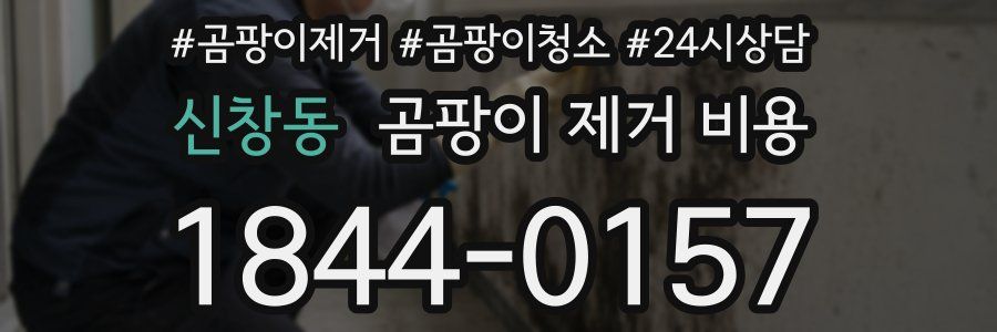 신창동 곰팡이 제거 비용