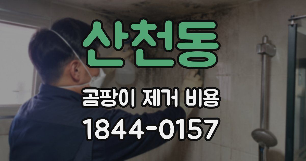 산천동 곰팡이 제거 비용